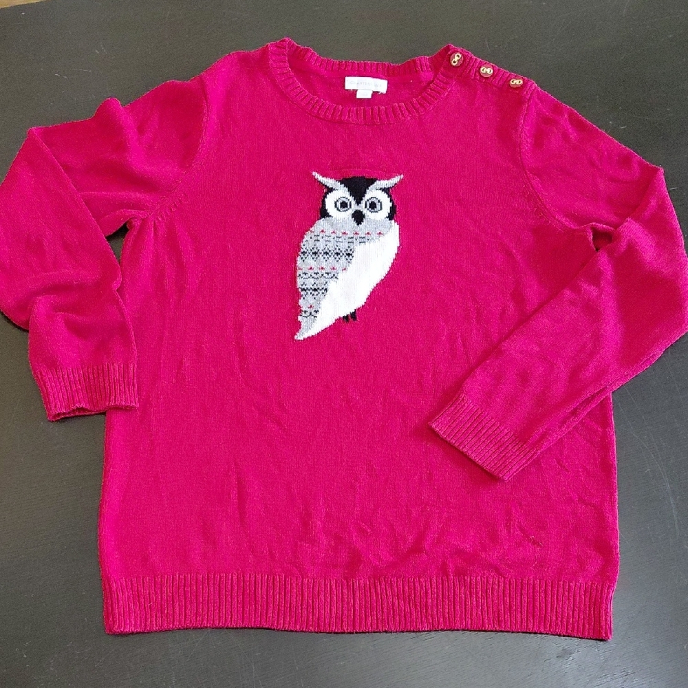 Charter Club Fuchsia Sweater with Owl Design